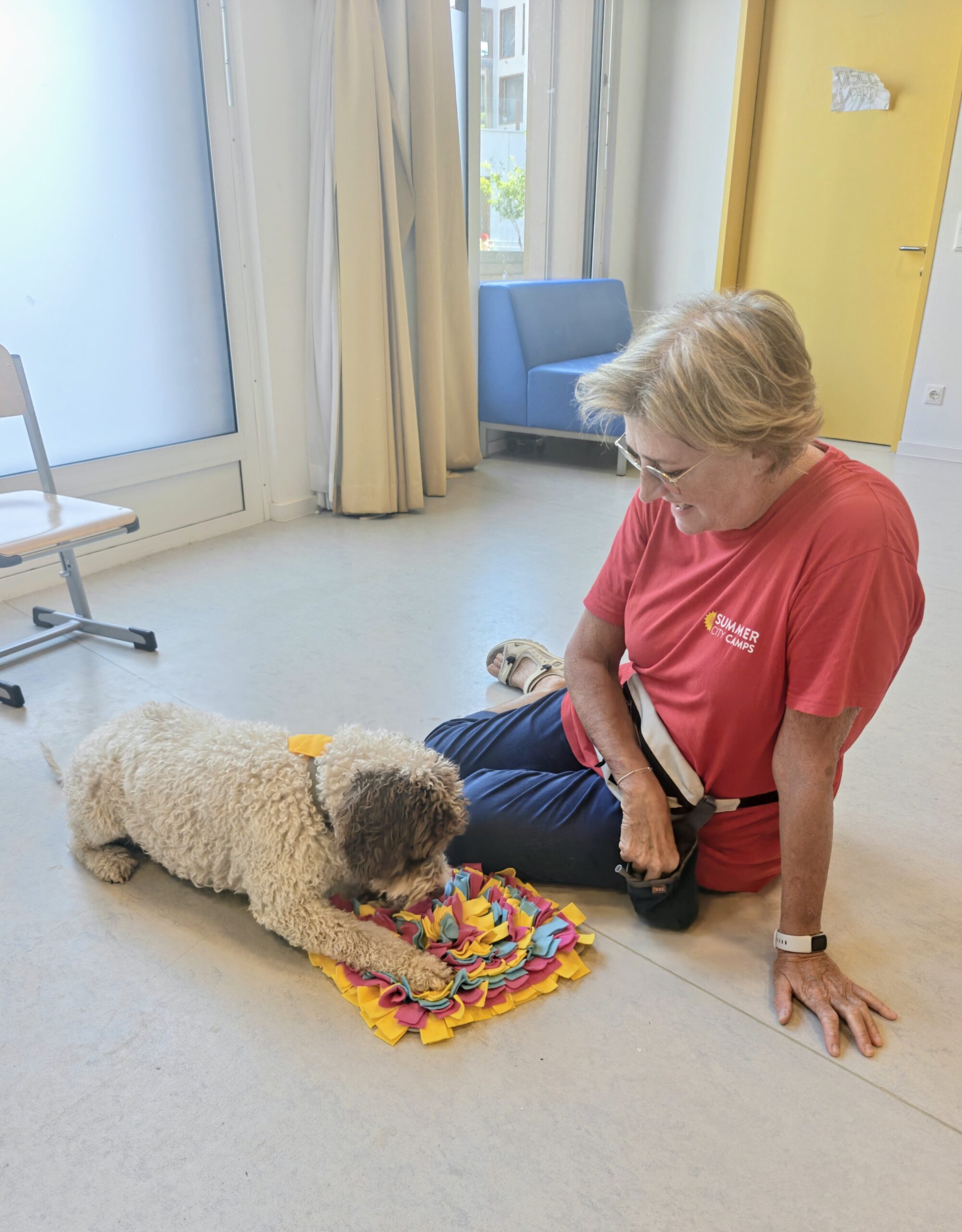 Tiergestützte Therapie mit Hund in Wien und Umgebung - Juna mit Schnüffeldecke